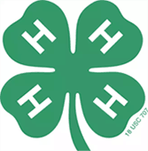 4h 4H