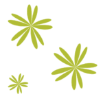 green doodles gala 2019 element (1) green doodles gala 2019 element (1)