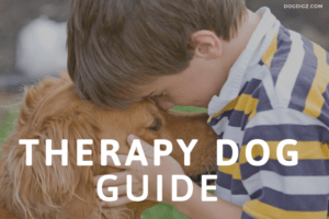 Therapy-Dog-Guide Therapy-Dog-Guide